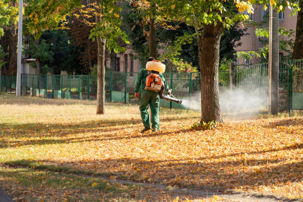 Wasp Removal Services in West Sacramento, CA